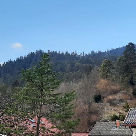 Appartement Im Hasental Garmisch-Partenkirchen Esterno foto